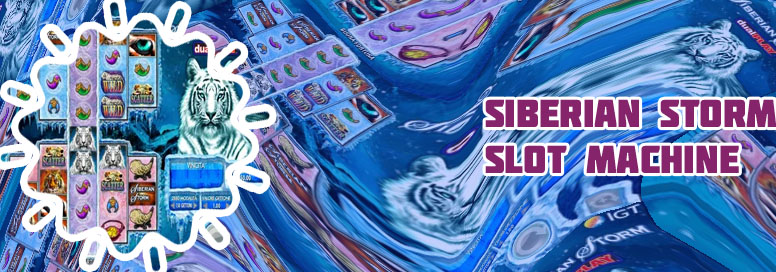 Siberian storm slot