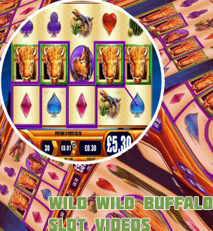 Wild buffalo slot machine